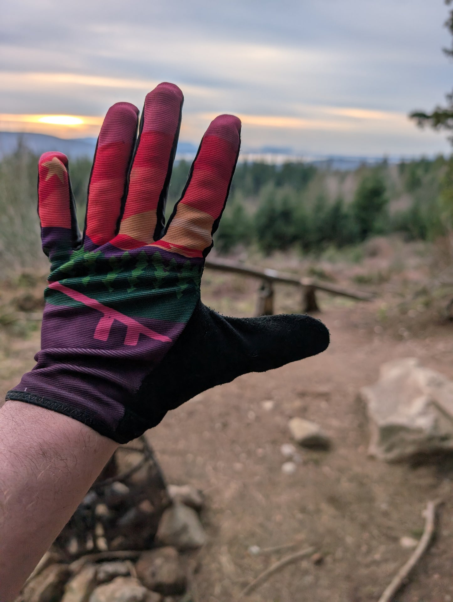 Raptor Mountain Biking Gloves - Unemployment Line Overlook